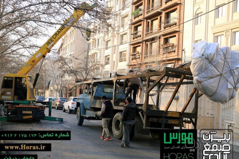 باغبانی و جابجایی درخت