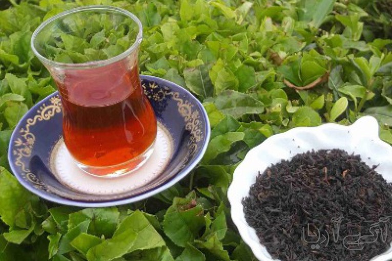 چای گیلان 