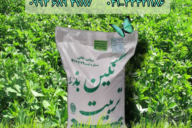 فروش انواع بذر یونجه سردسیری و گرمسیری با قیمت دست اول