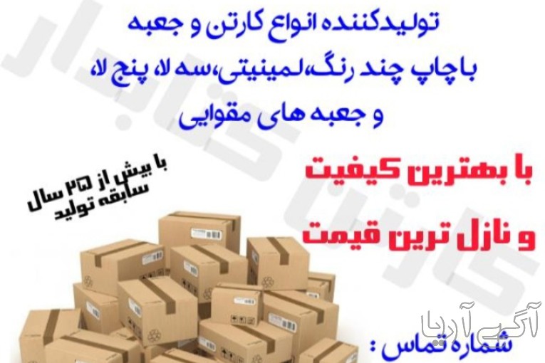 کارتن کتابدار