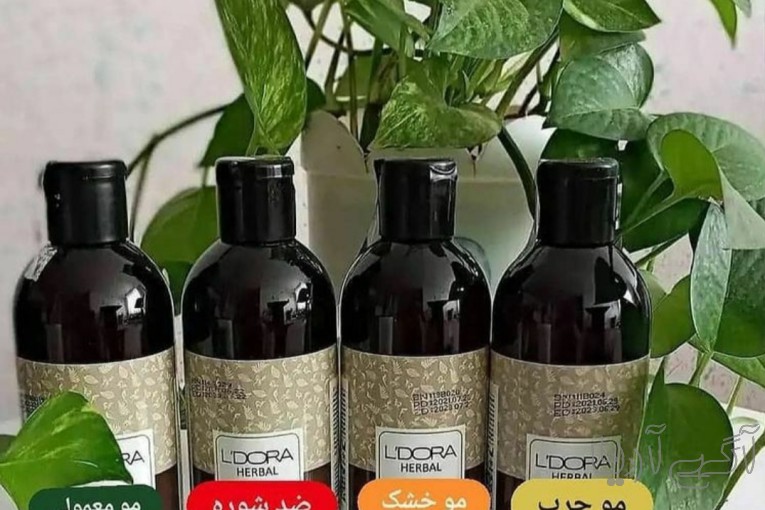 اطلاعیه فوق العاده مهم برای خانم ها، آرایشگر ها 