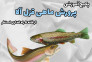 پکیج آموزشی پرورش ماهی قزل آلا از خانه تا راه اندازی استخر