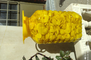 فروش عمده انواع ترشی و شوری جات و رب گوجه فرنگی