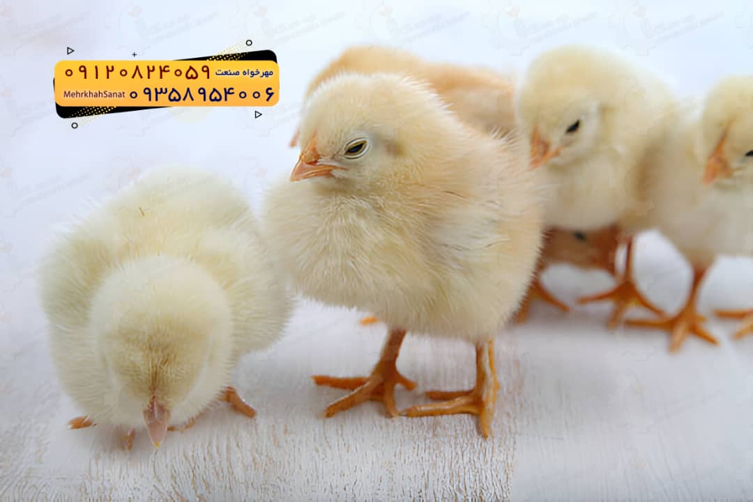 تعاونی مهرخواه صنعت