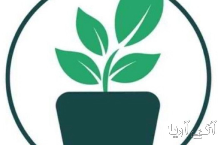 متنوع ترین فروشگاه گلدان