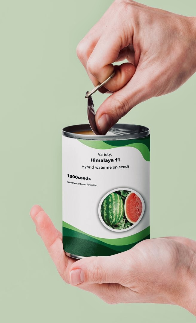 فروشگاه بذر