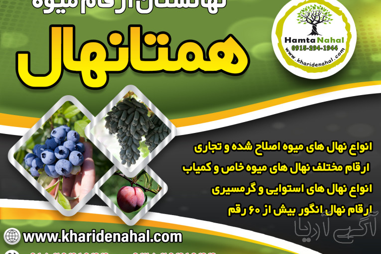 خرید نهال میوه اصلاح شده