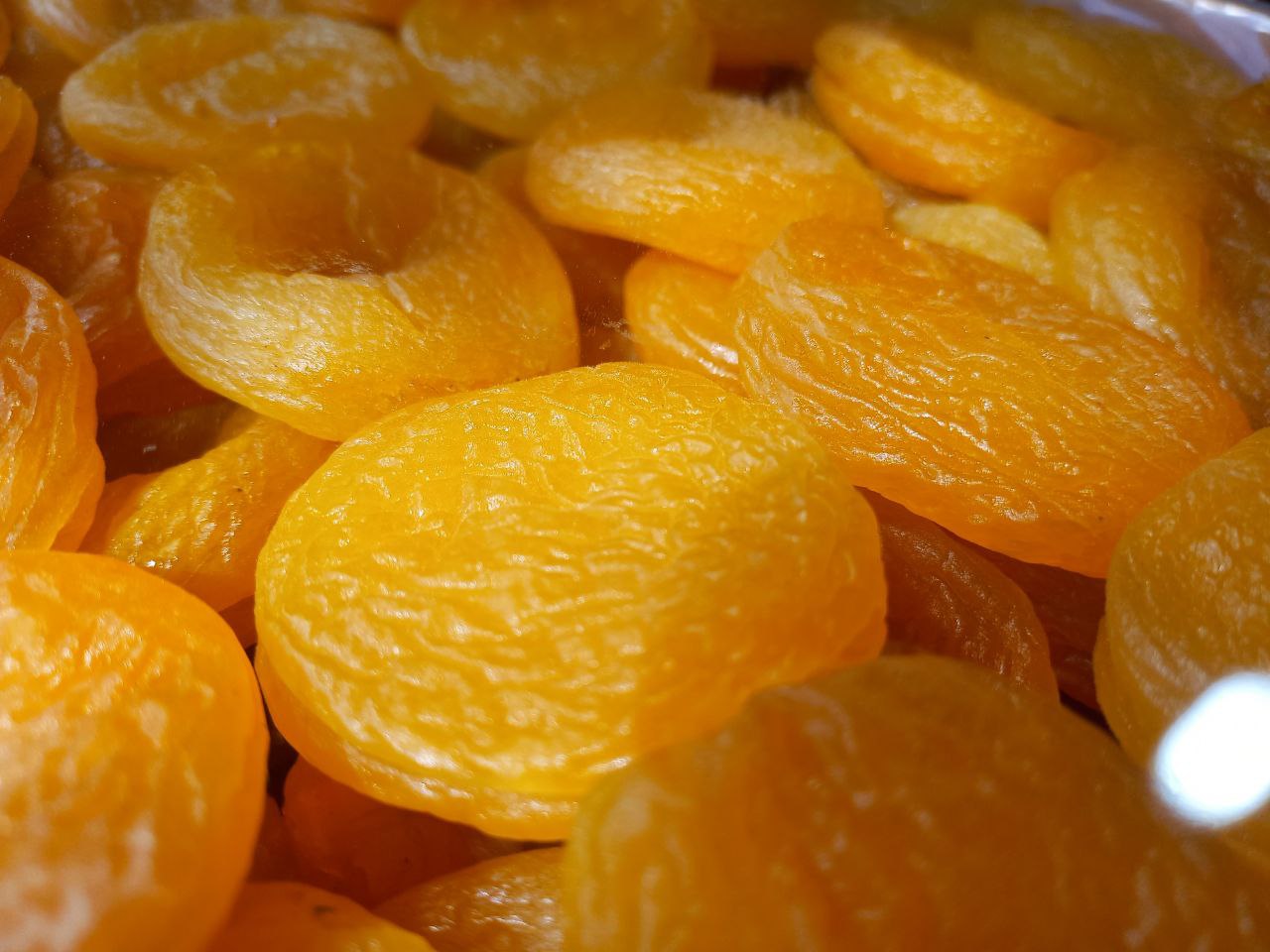  تولید وفروش عمده خشکبار با کیفیت