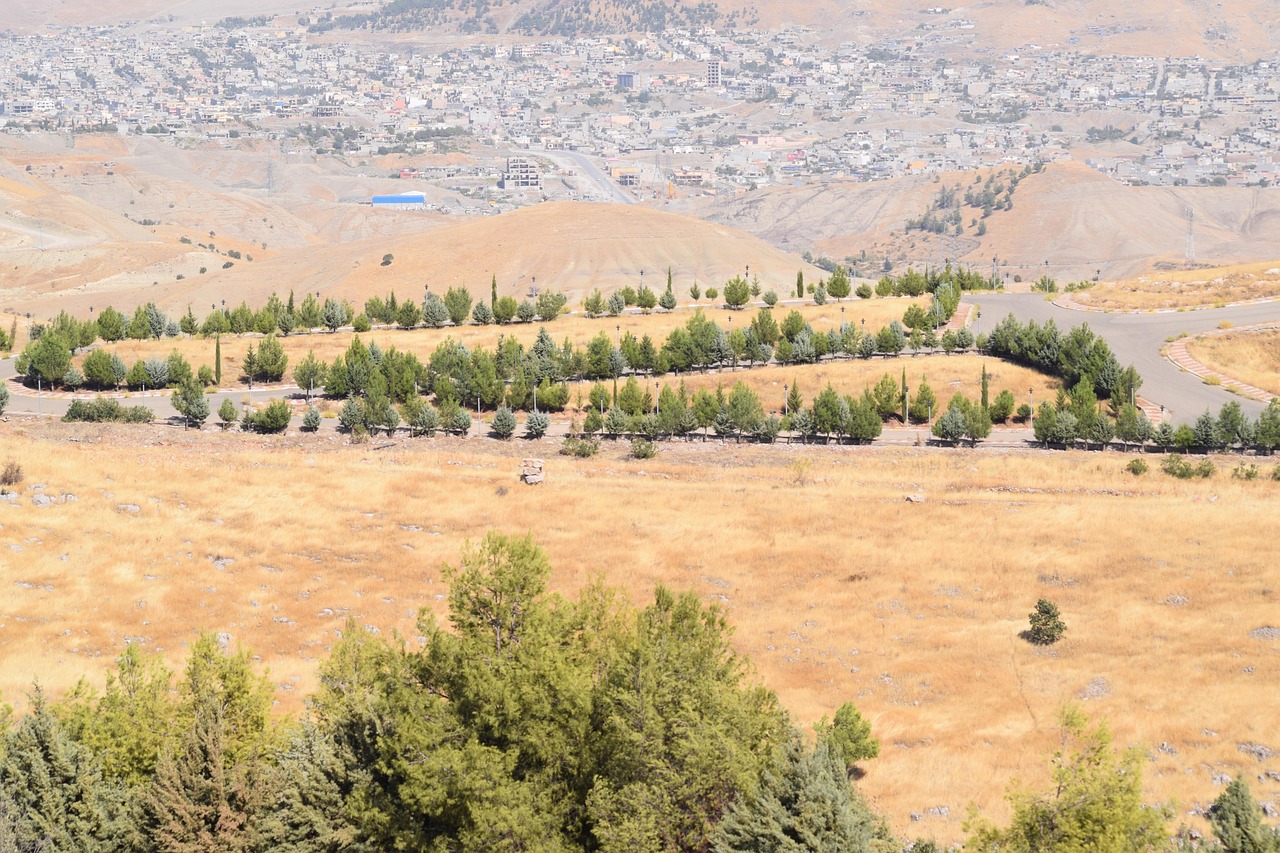 راه‌اندازی سیستم رزرو محصولات در فروشگاه   