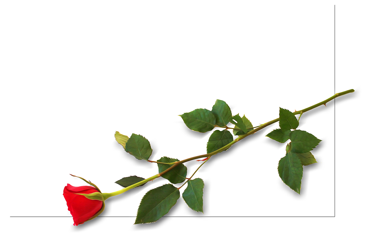 استفاده از کدهای QR در تبلیغات محرم