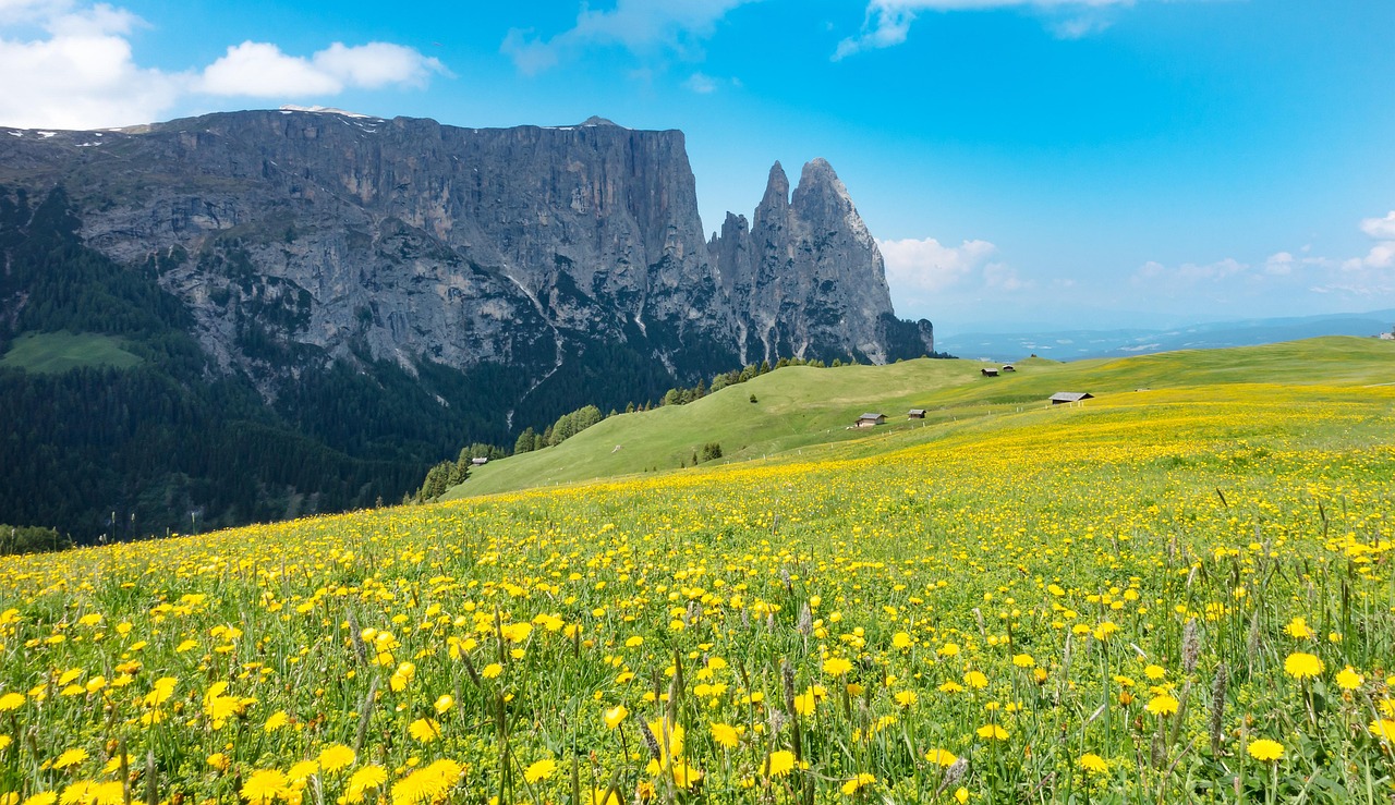 قالیشویی فرش دستباف در تهران - تخصصی و حرفه‌ای
