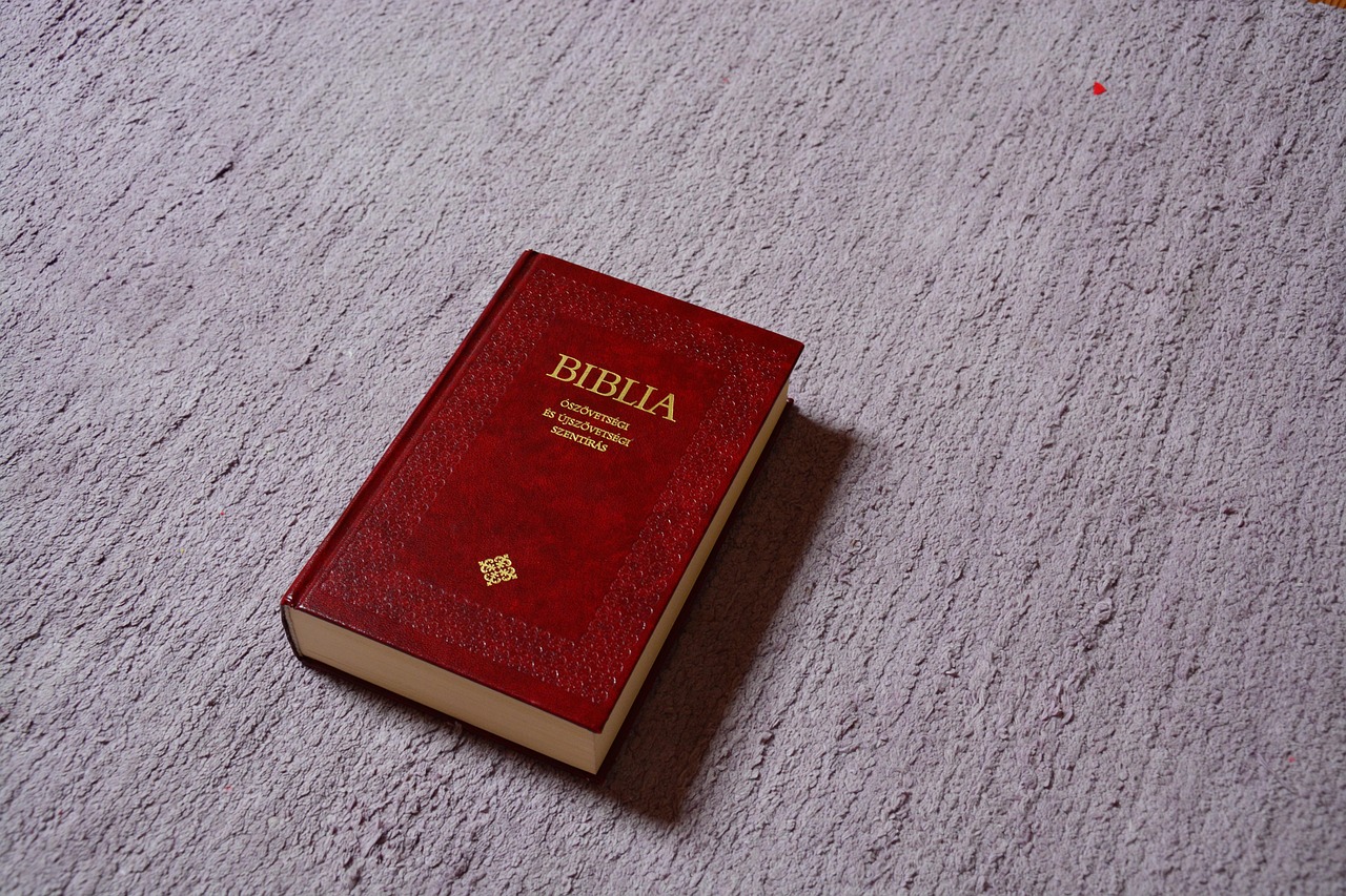 شماره تلفن قالیشویی ادیب - تماس مستقیم