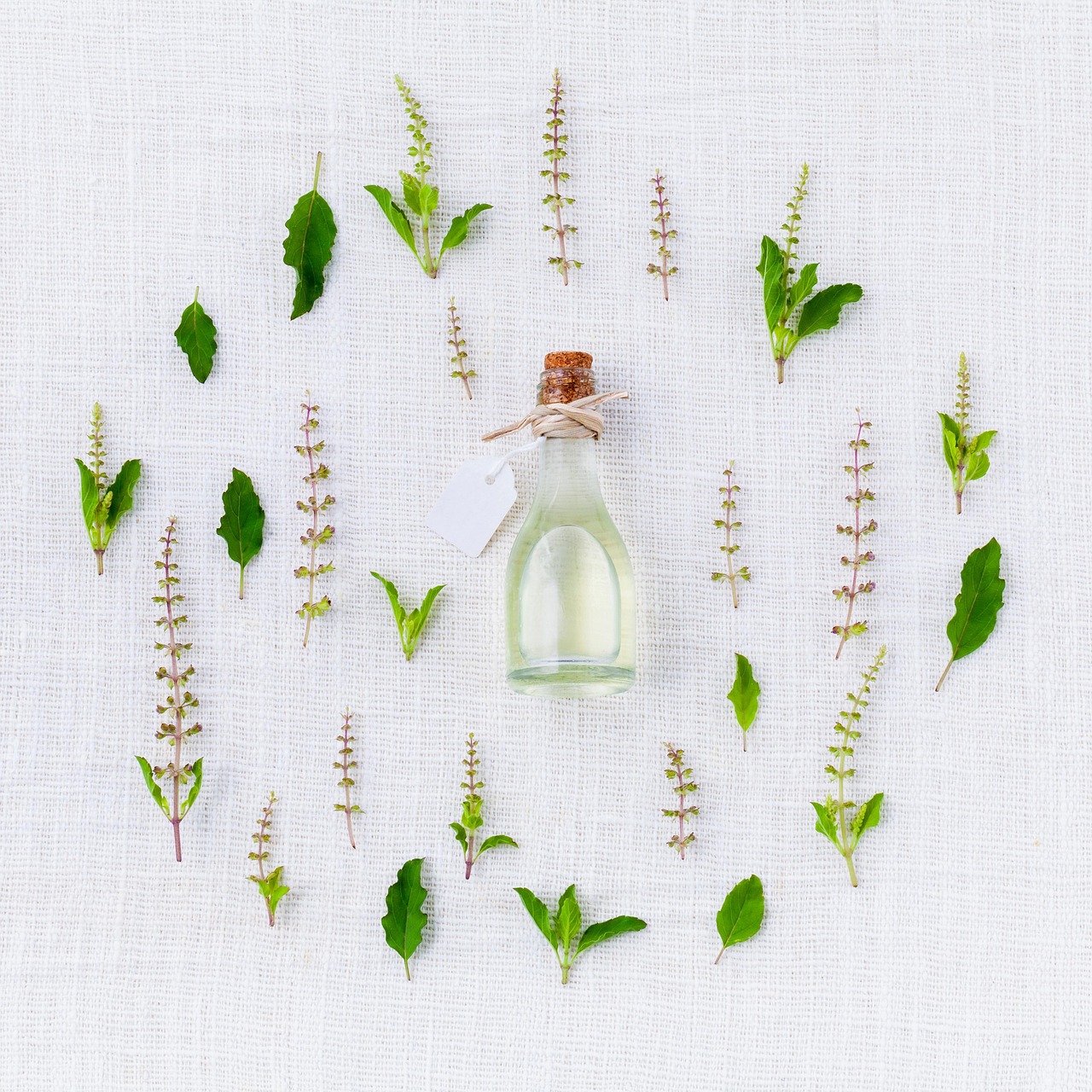 خرید عطر و ادکلن اورجینال جدید از برند SAFIR؛ تجربه‌ای از رایحه‌های ناب
