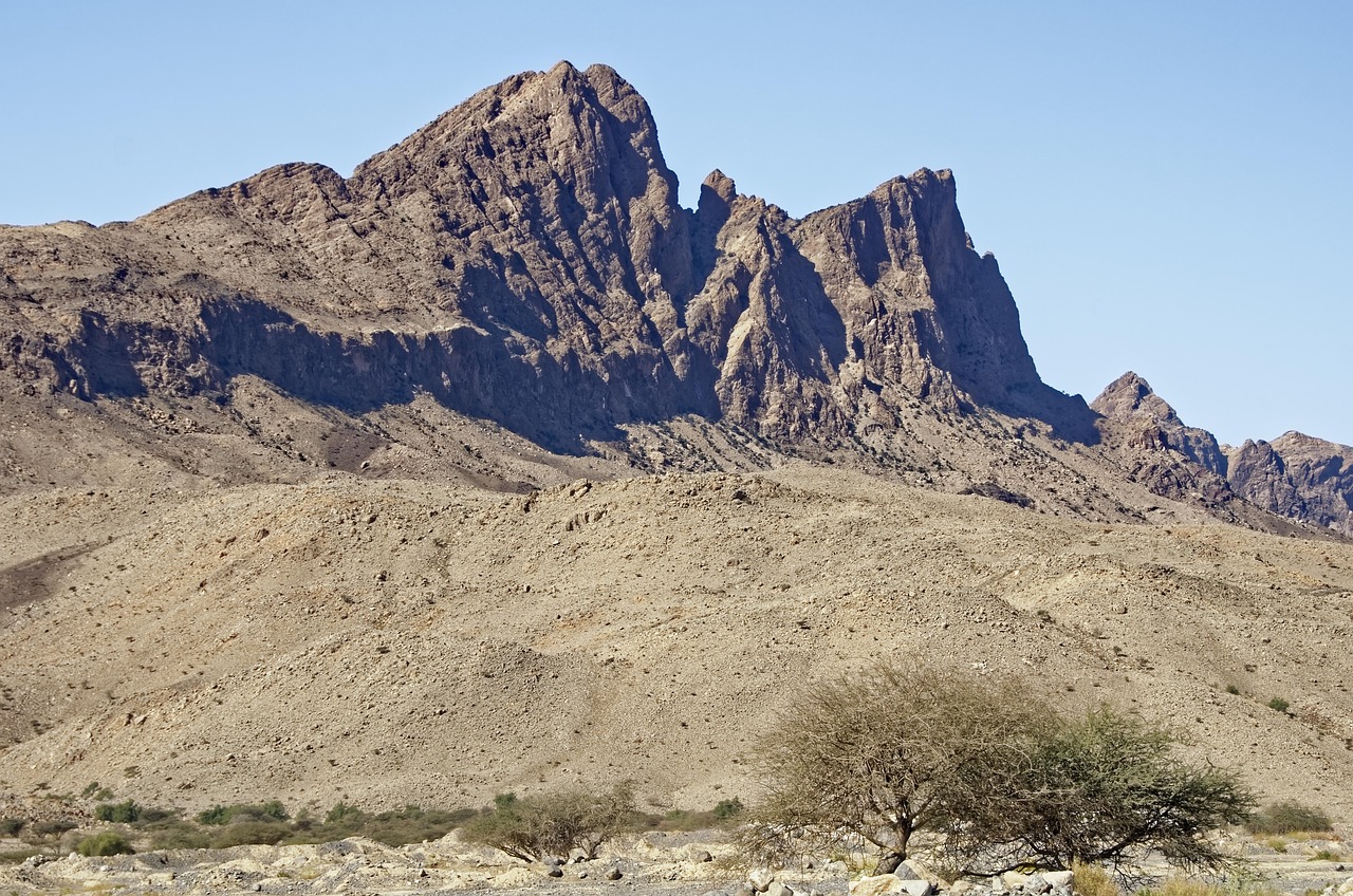 تبلیغات رایگان کسب و کار