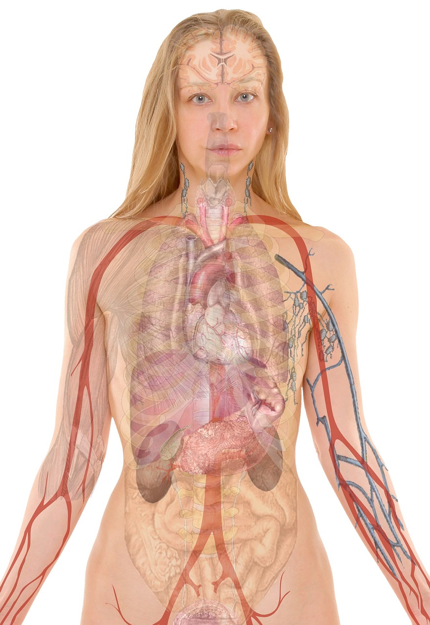 خدمات پزشکی در منزل تبریز