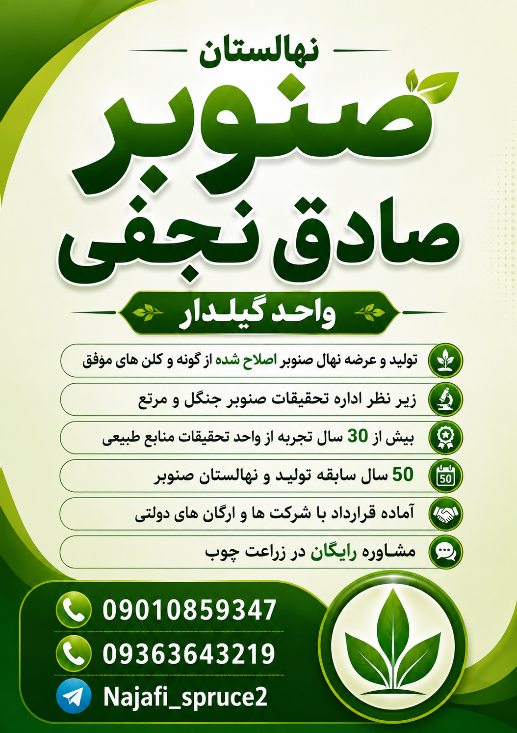 نهال صنوبر سریع رشد