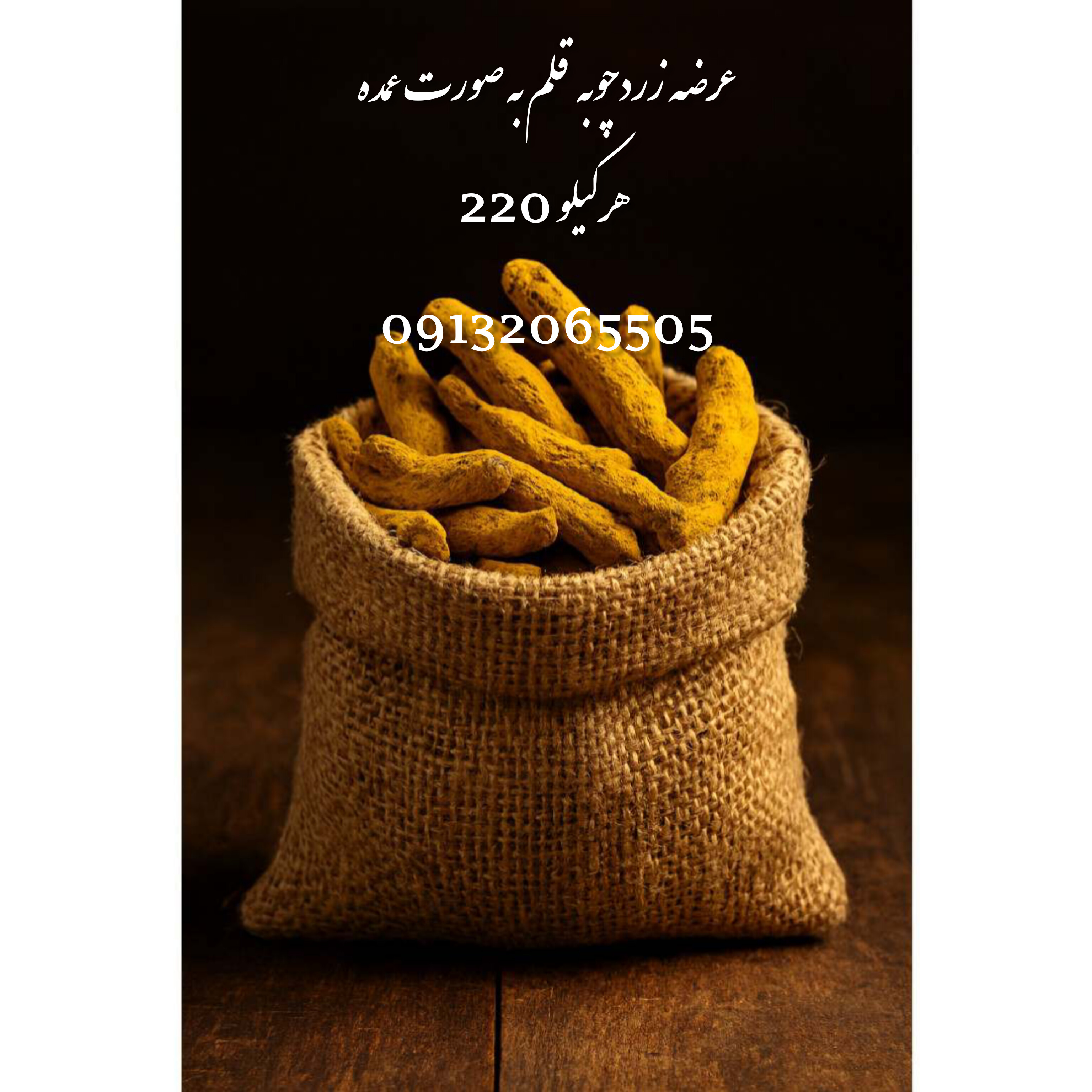 فروش عمده زردچوبه قلم هندی با کمترین قیمت و بهترین کیفیت