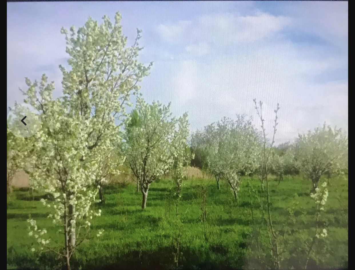 10 من باغ در نرجاباد